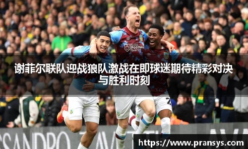 谢菲尔联队迎战狼队激战在即球迷期待精彩对决与胜利时刻
